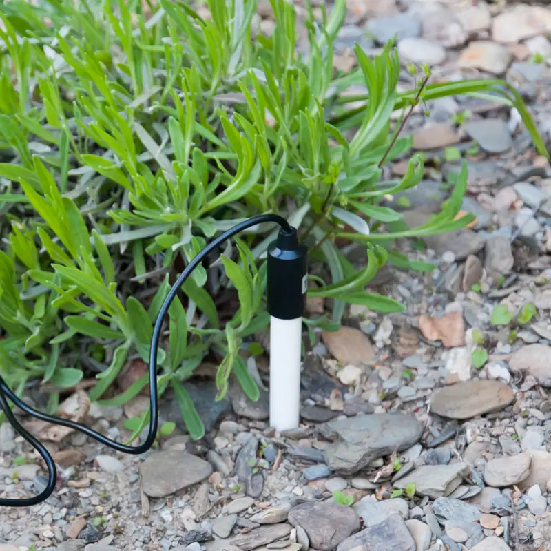 Small white tube with black cable on a rocky ground with green plants