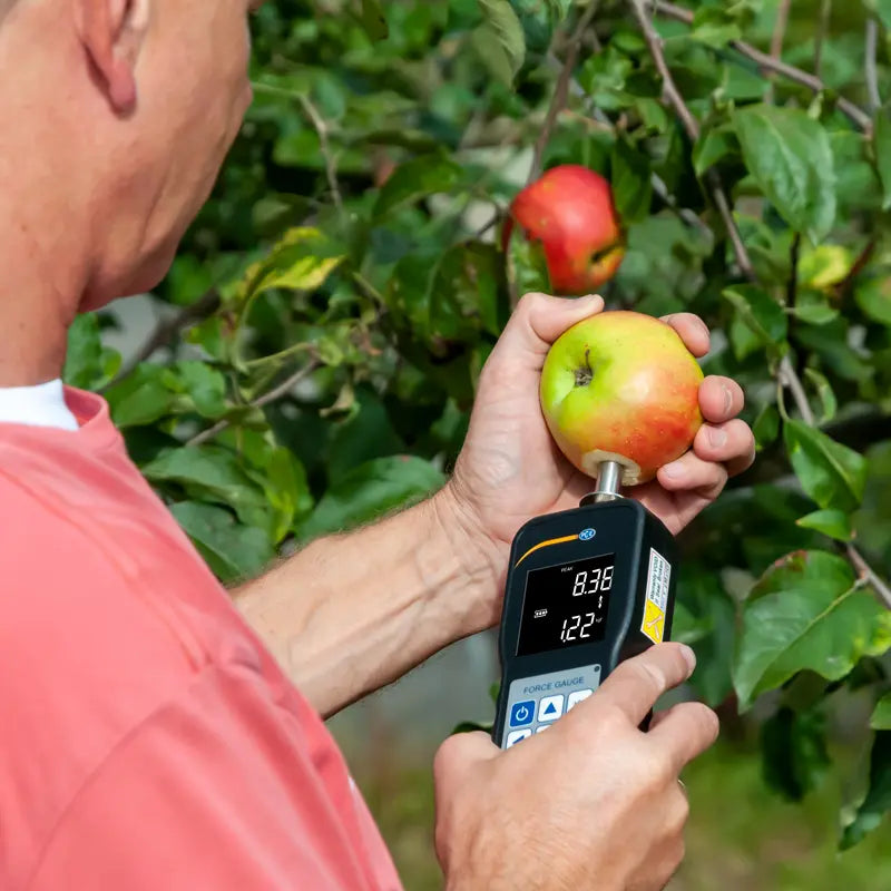 Person using a Force Gage to measure an apple in an orchard