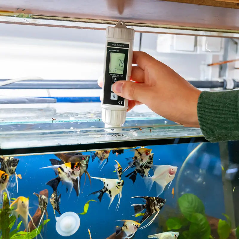 Hand holding a water analysis meter in front of an aquarium with fish.